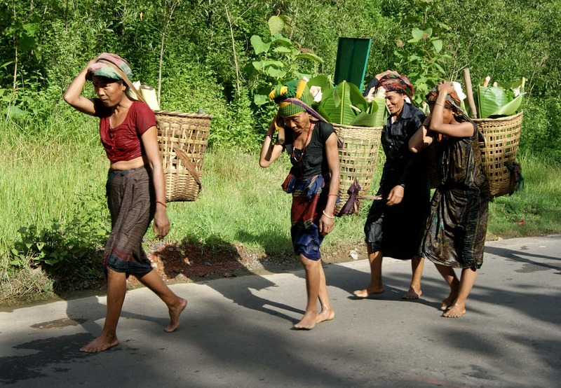 Hill women of Khagrachari displaying a variety of fresh, pesticide-free vegetables and fruits at the popular Madhupur market, renowned for its natural produce. Photo: Voice7 News